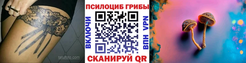 Галлюциногенные грибы Magic Shrooms  купить   Электроугли 